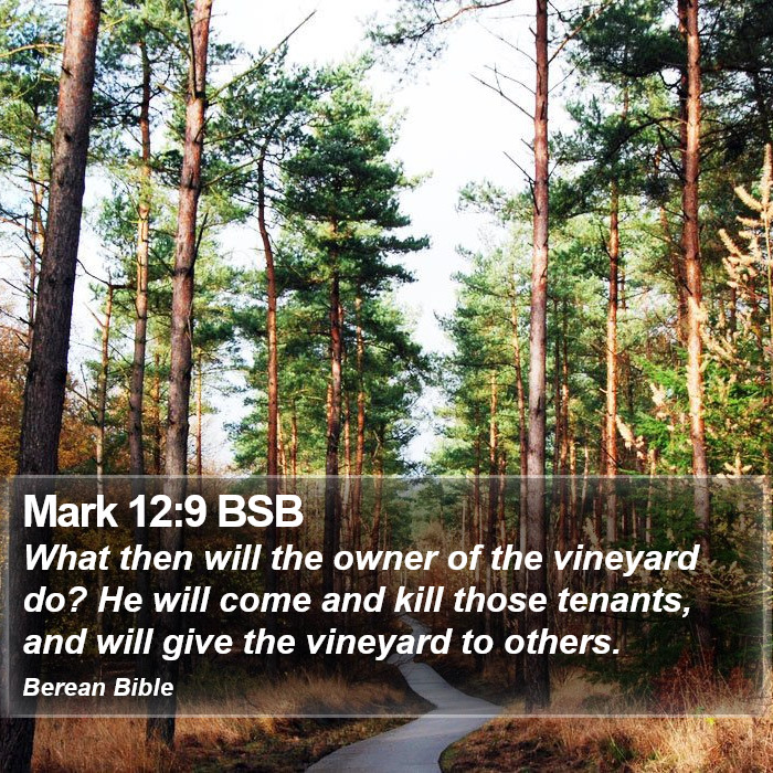 Mark 12:9 BSB Bible Study