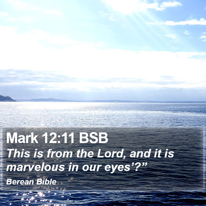 Mark 12:11 BSB Bible Study