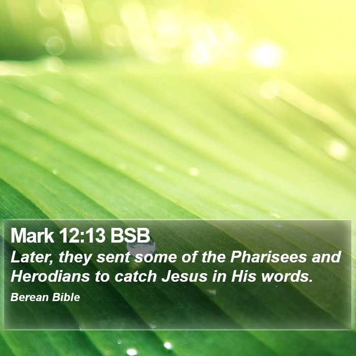 Mark 12:13 BSB Bible Study