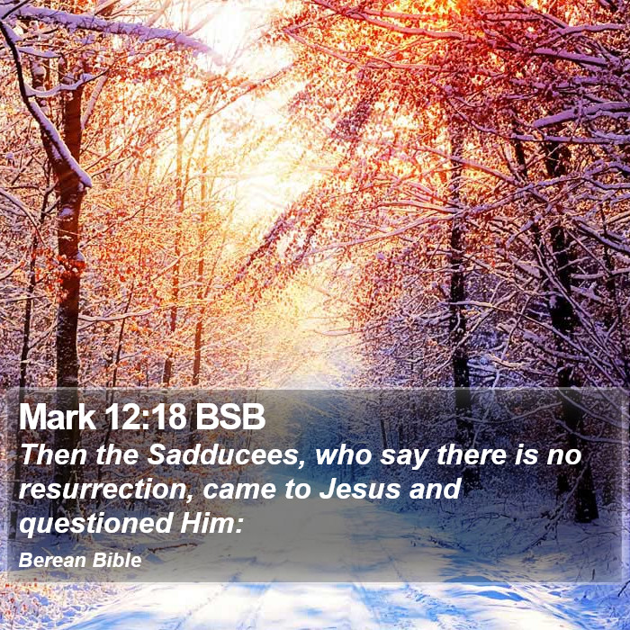 Mark 12:18 BSB Bible Study