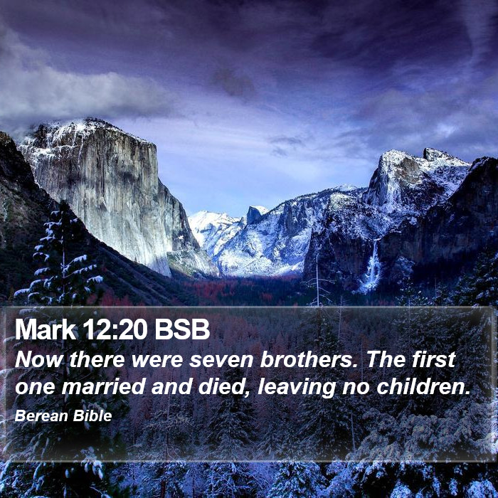 Mark 12:20 BSB Bible Study