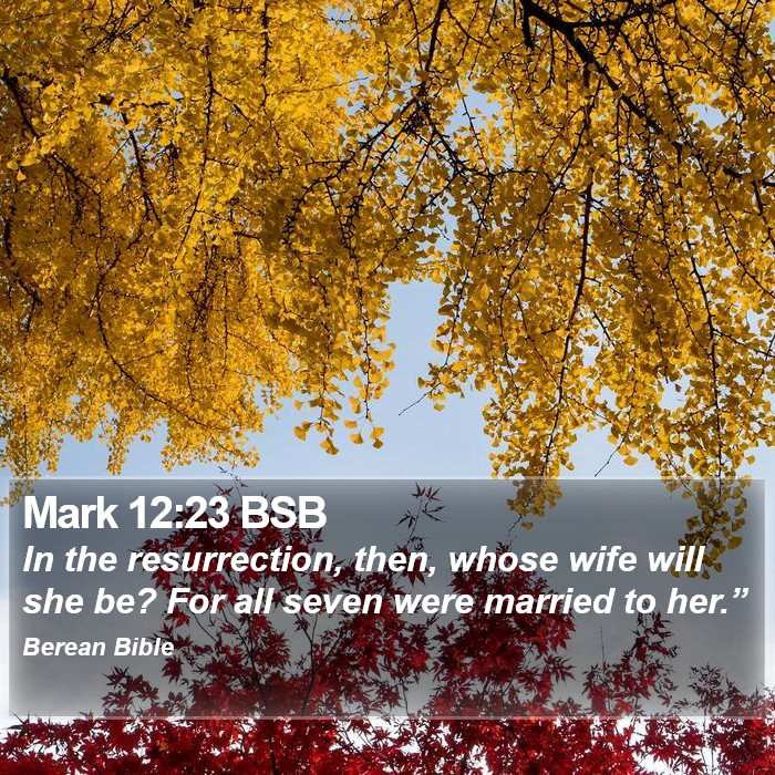 Mark 12:23 BSB Bible Study