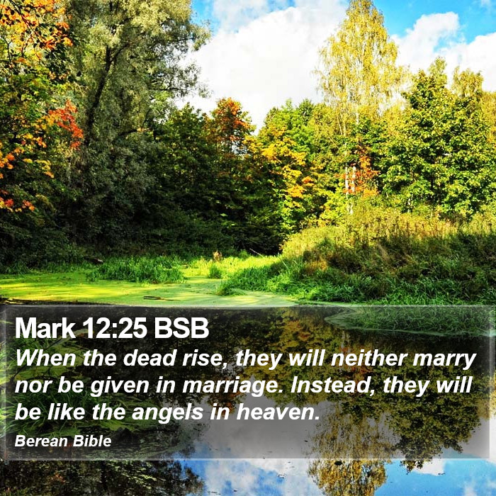 Mark 12:25 BSB Bible Study