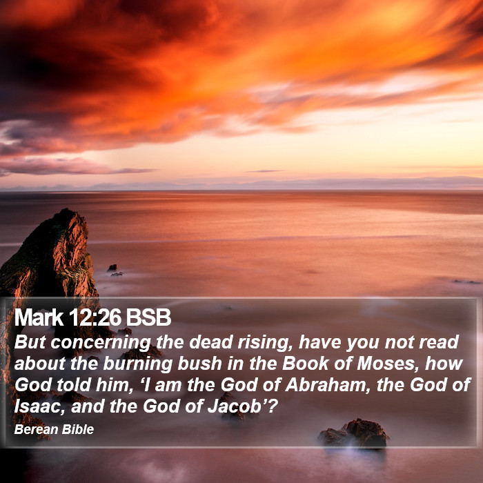 Mark 12:26 BSB Bible Study