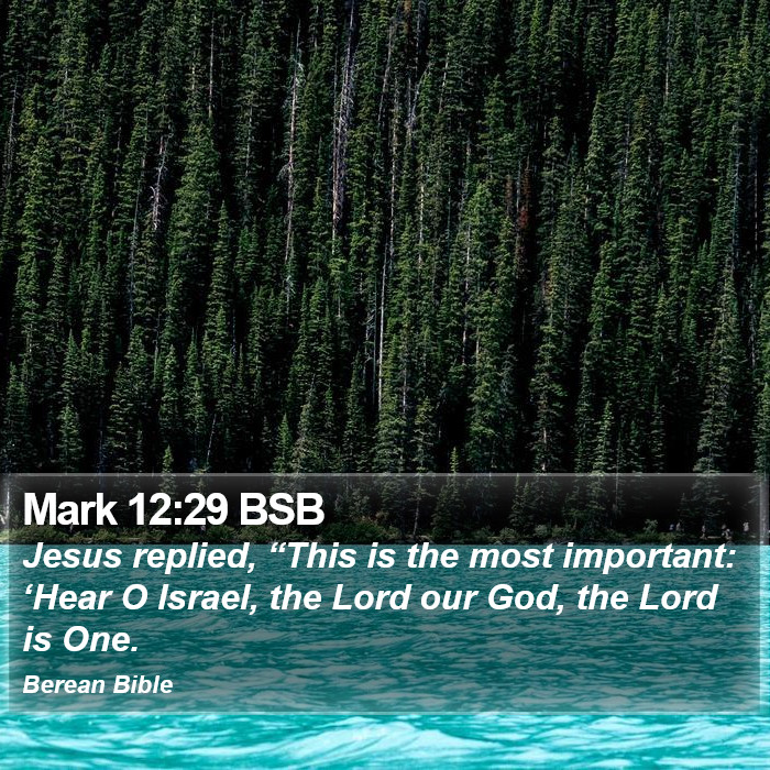 Mark 12:29 BSB Bible Study