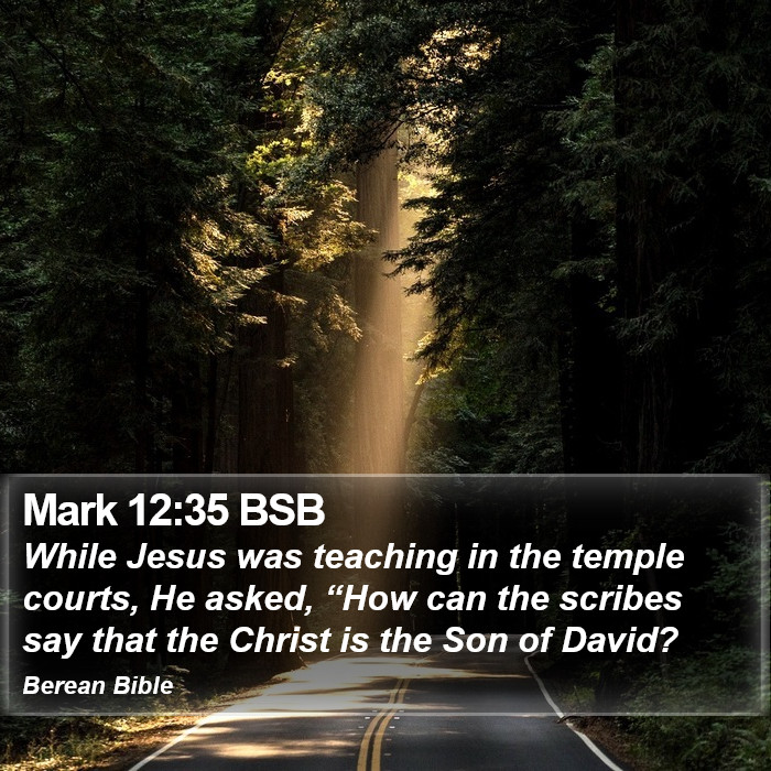 Mark 12:35 BSB Bible Study