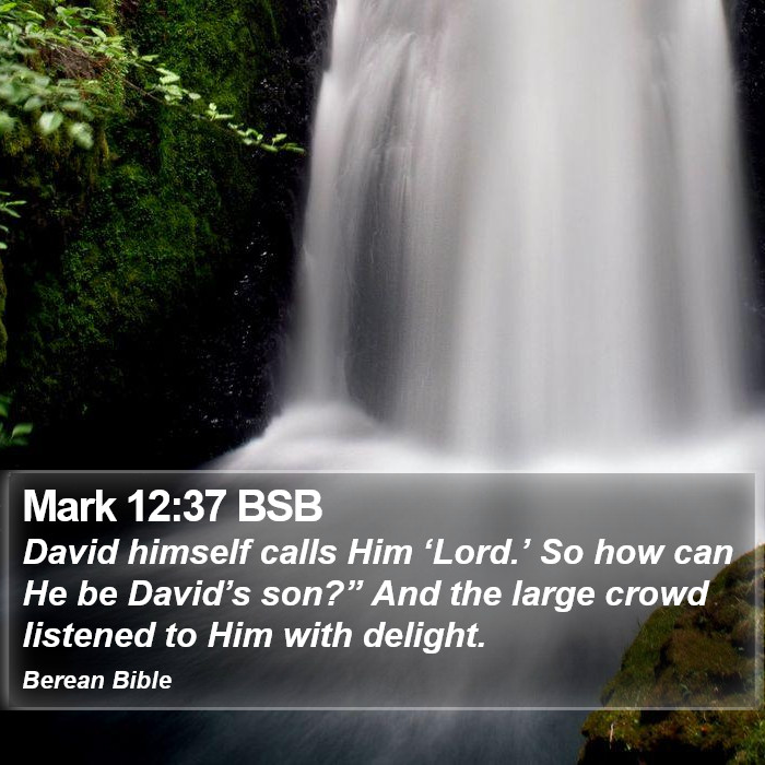 Mark 12:37 BSB Bible Study