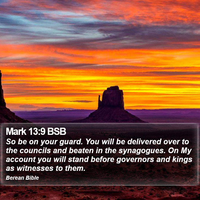 Mark 13:9 BSB Bible Study