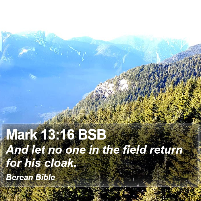 Mark 13:16 BSB Bible Study