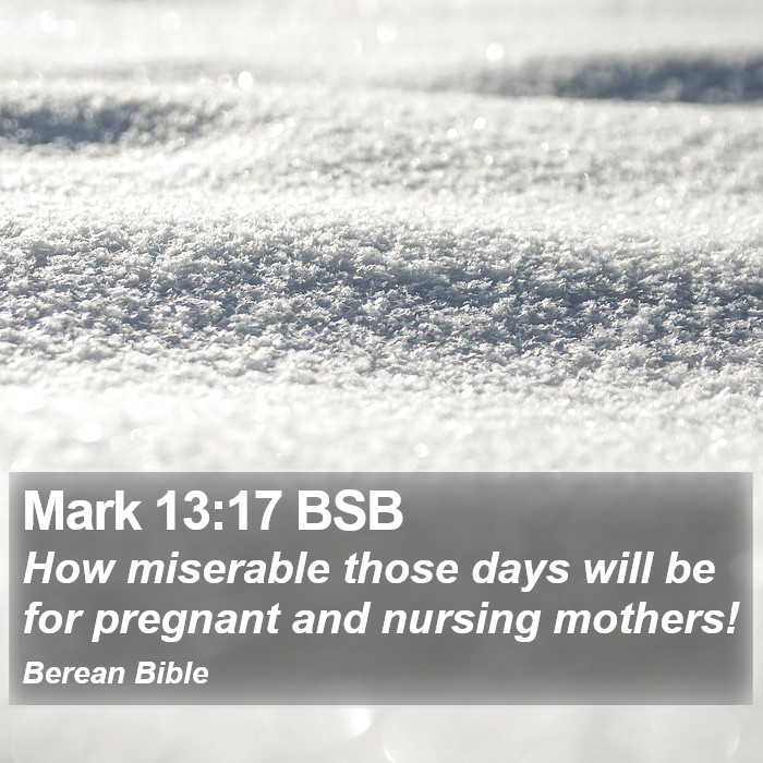 Mark 13:17 BSB Bible Study