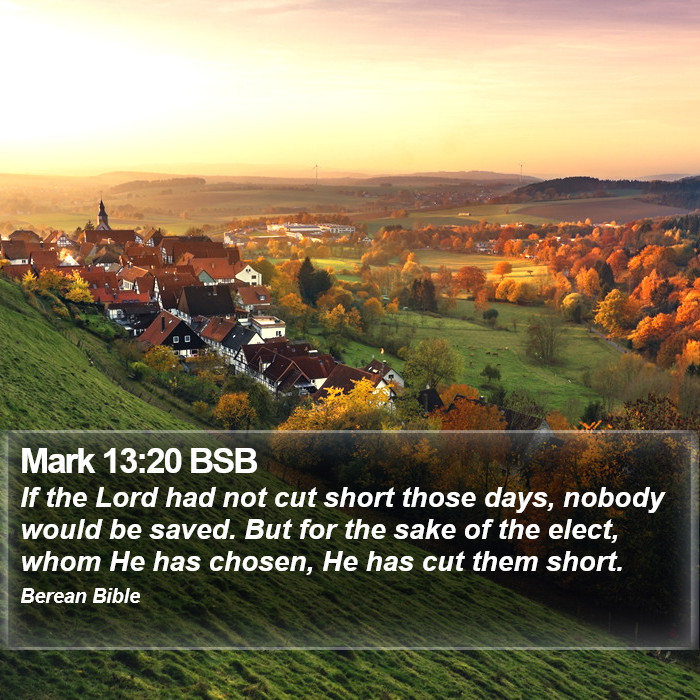 Mark 13:20 BSB Bible Study