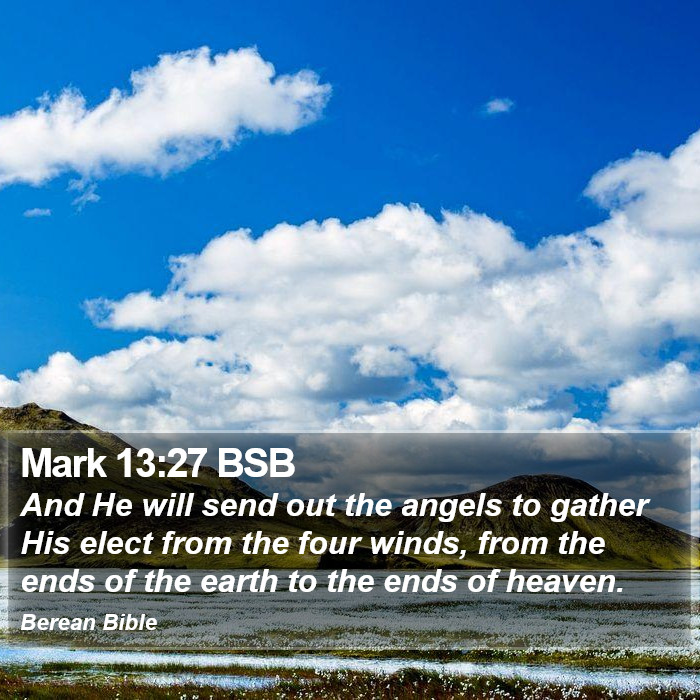 Mark 13:27 BSB Bible Study