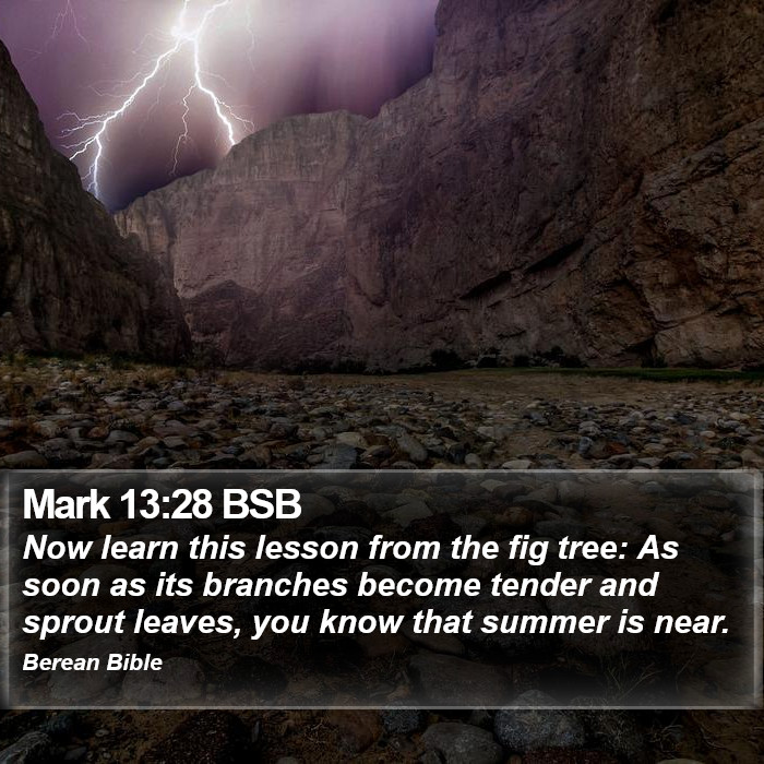 Mark 13:28 BSB Bible Study