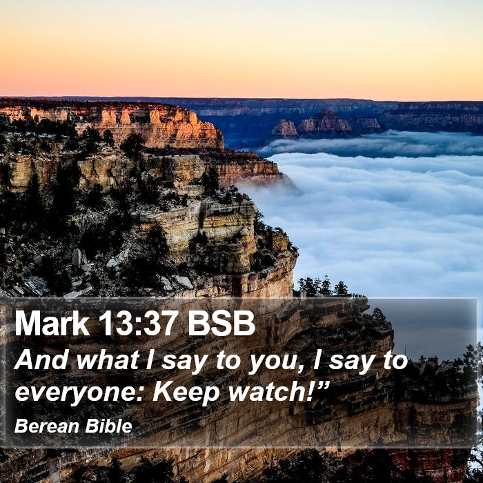 Mark 13:37 BSB Bible Study