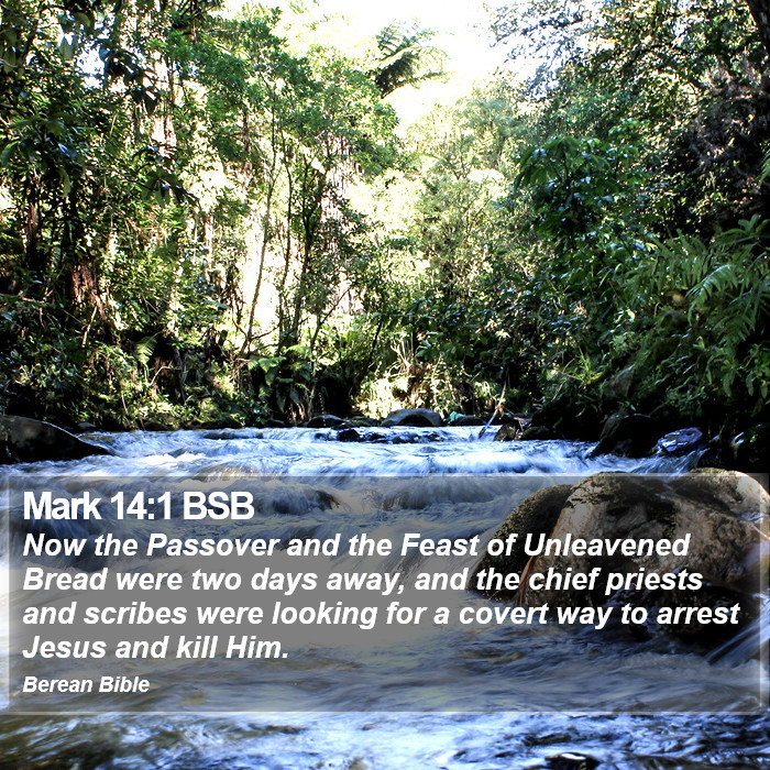 Mark 14:1 BSB Bible Study