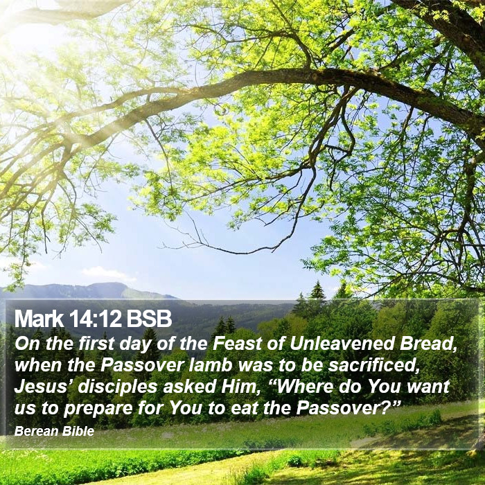 Mark 14:12 BSB Bible Study