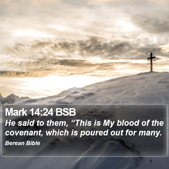 Mark 14:24 BSB Bible Study