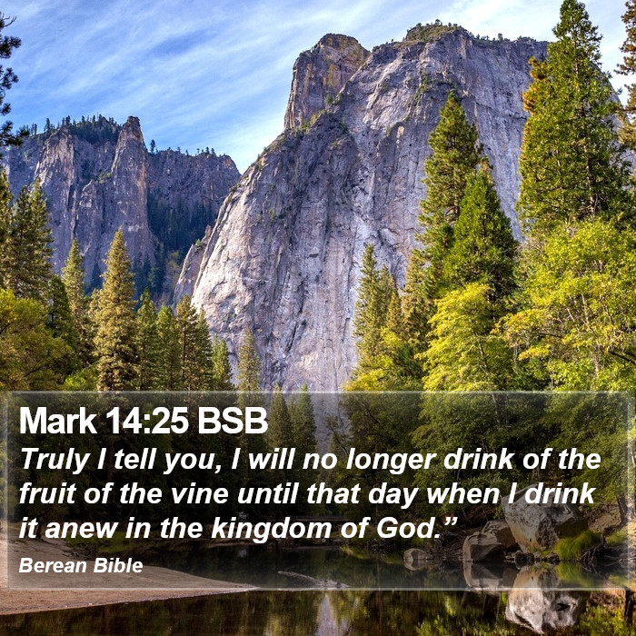 Mark 14:25 BSB Bible Study