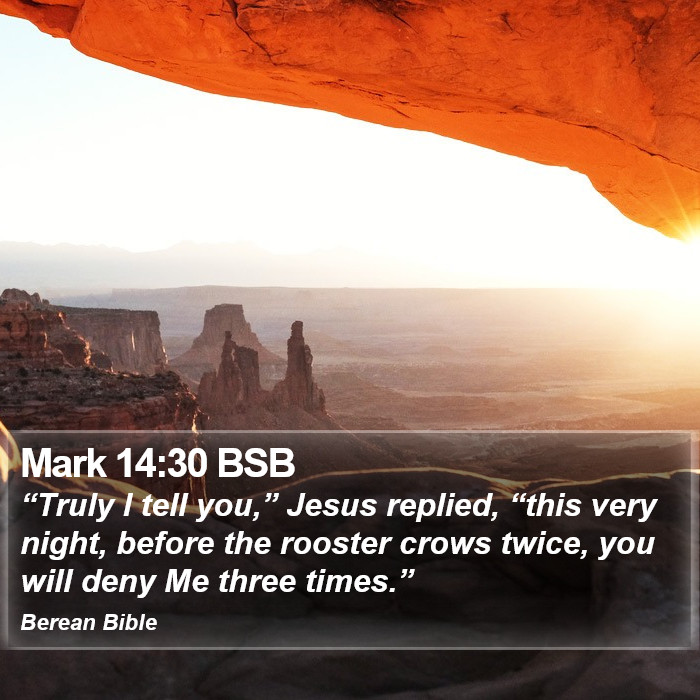 Mark 14:30 BSB Bible Study