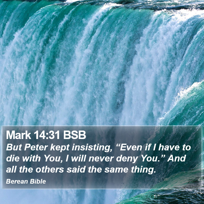 Mark 14:31 BSB Bible Study