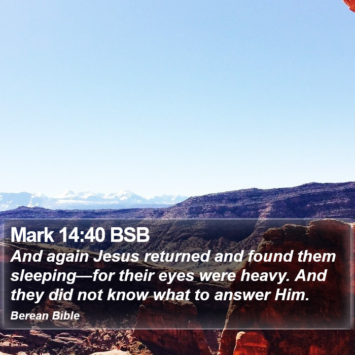 Mark 14:40 BSB Bible Study