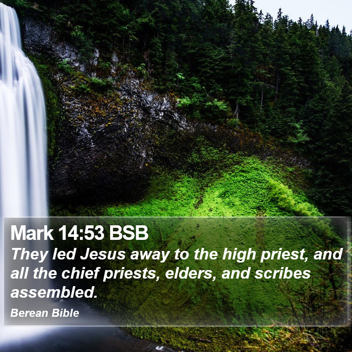 Mark 14:53 BSB Bible Study