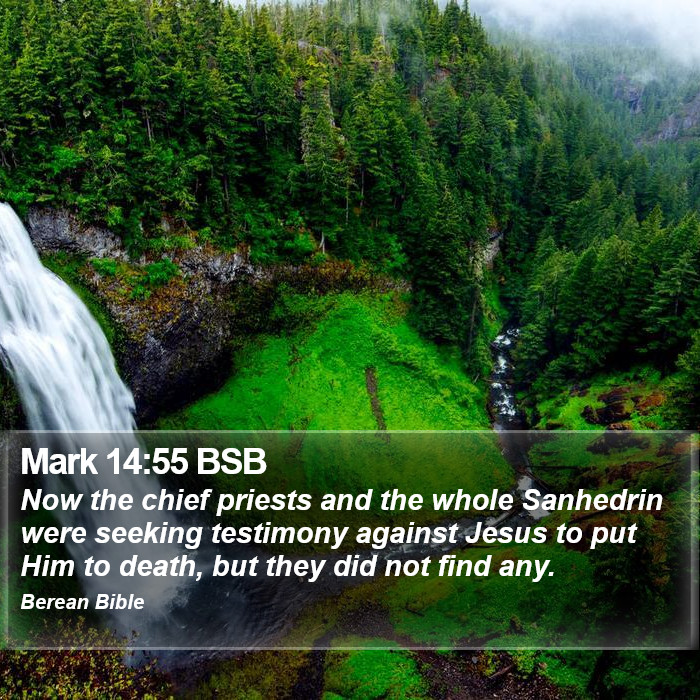 Mark 14:55 BSB Bible Study