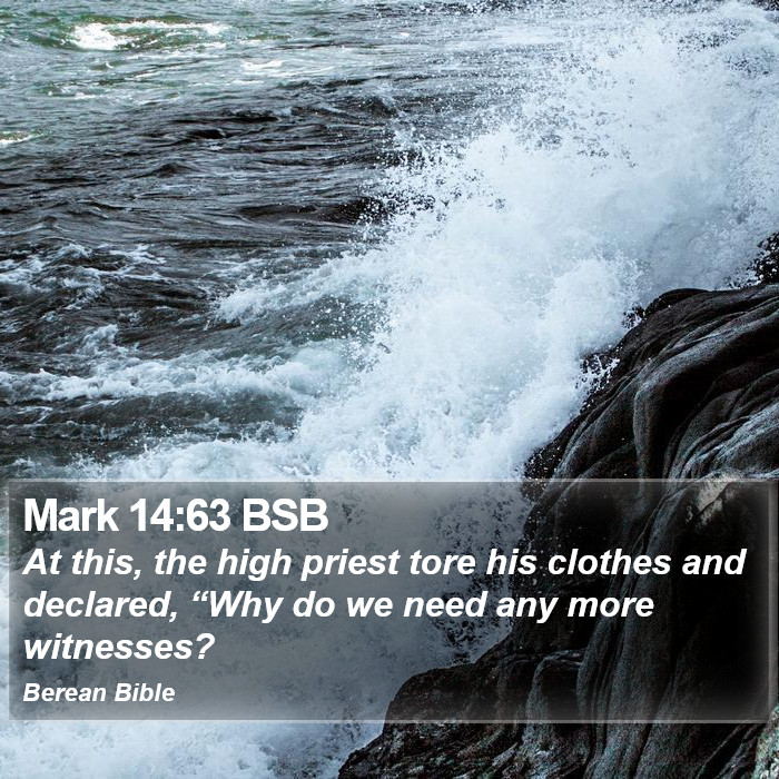 Mark 14:63 BSB Bible Study