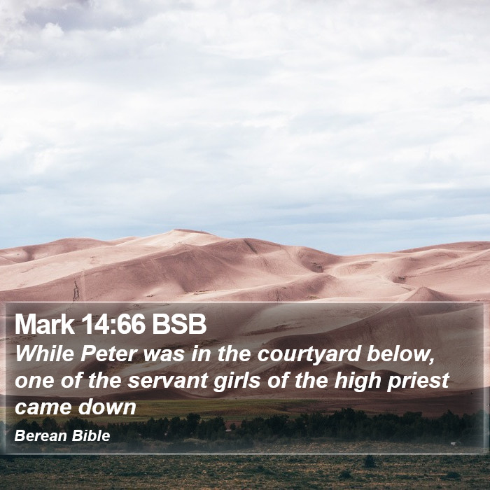 Mark 14:66 BSB Bible Study