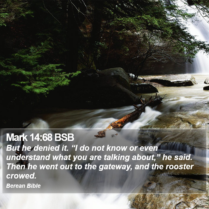 Mark 14:68 BSB Bible Study