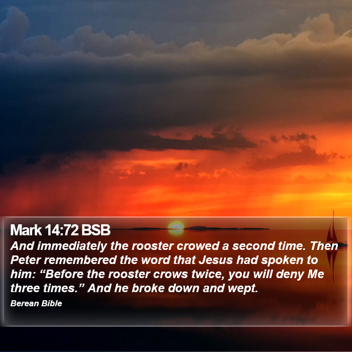 Mark 14:72 BSB Bible Study