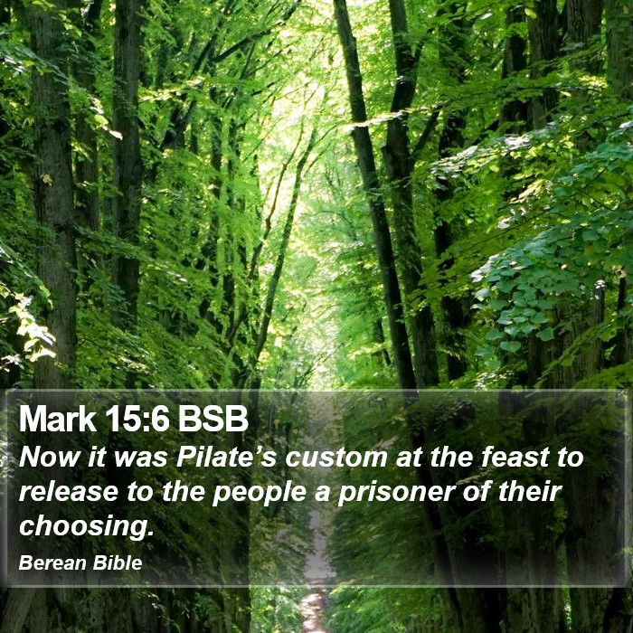 Mark 15:6 BSB Bible Study