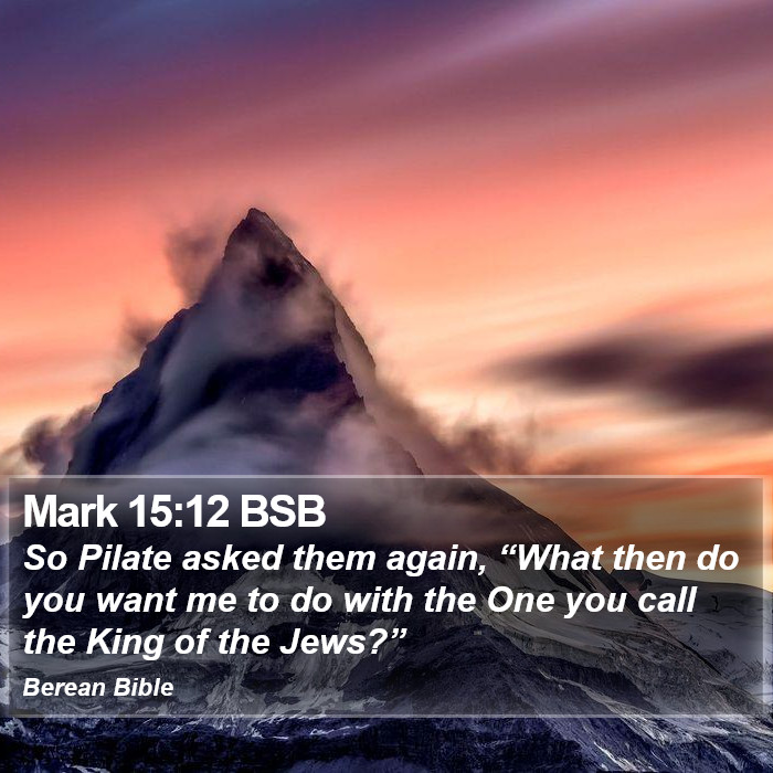 Mark 15:12 BSB Bible Study