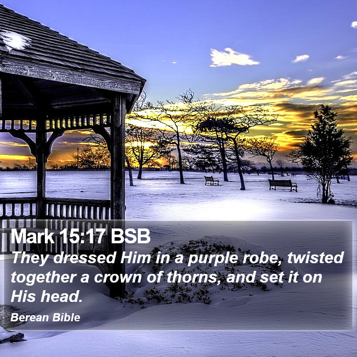 Mark 15:17 BSB Bible Study