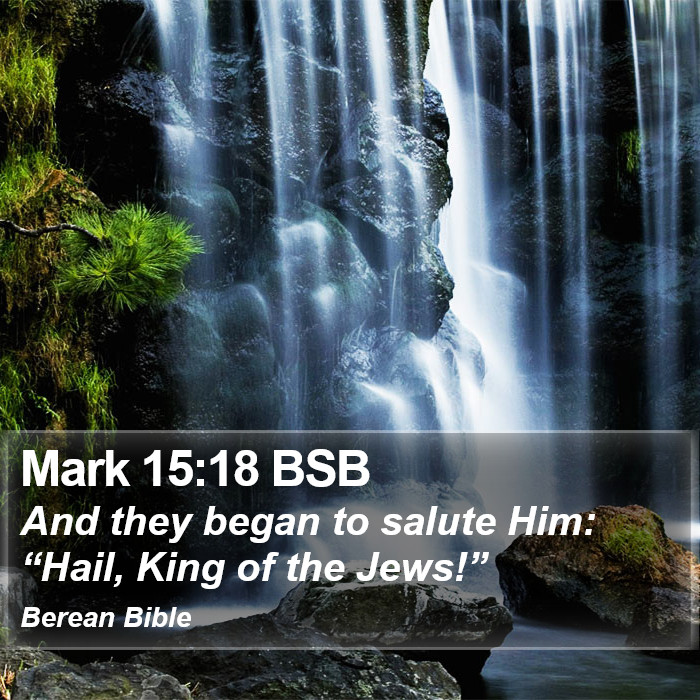 Mark 15:18 BSB Bible Study