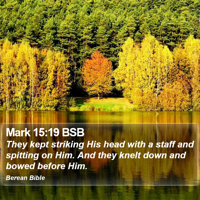 Mark 15:19 BSB Bible Study