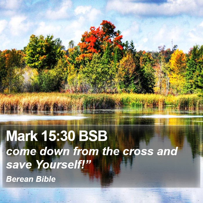 Mark 15:30 BSB Bible Study