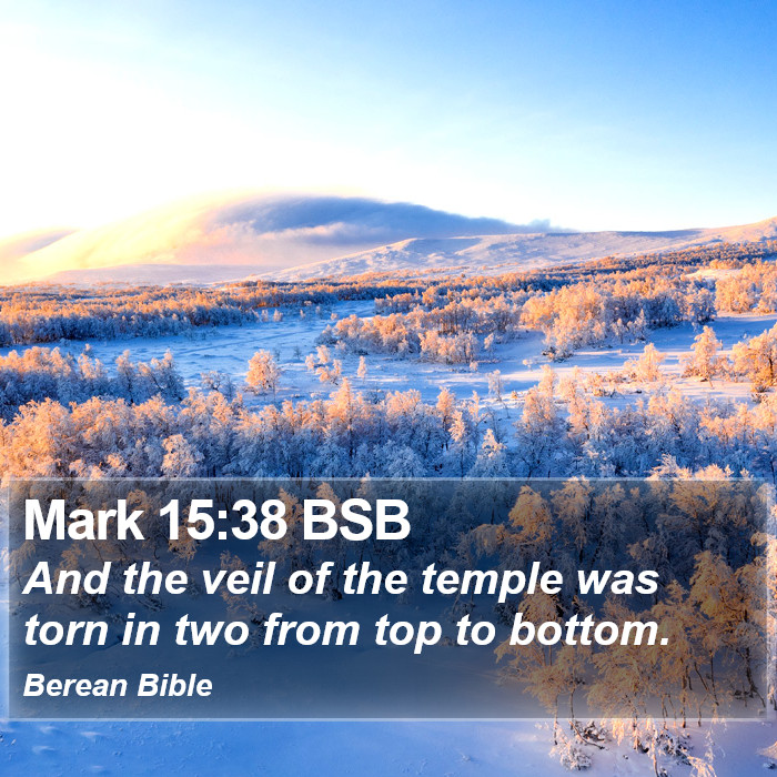 Mark 15:38 BSB Bible Study