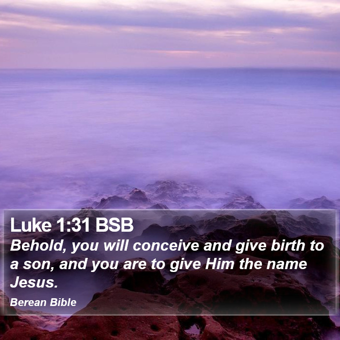 Luke 1:31 BSB Bible Study