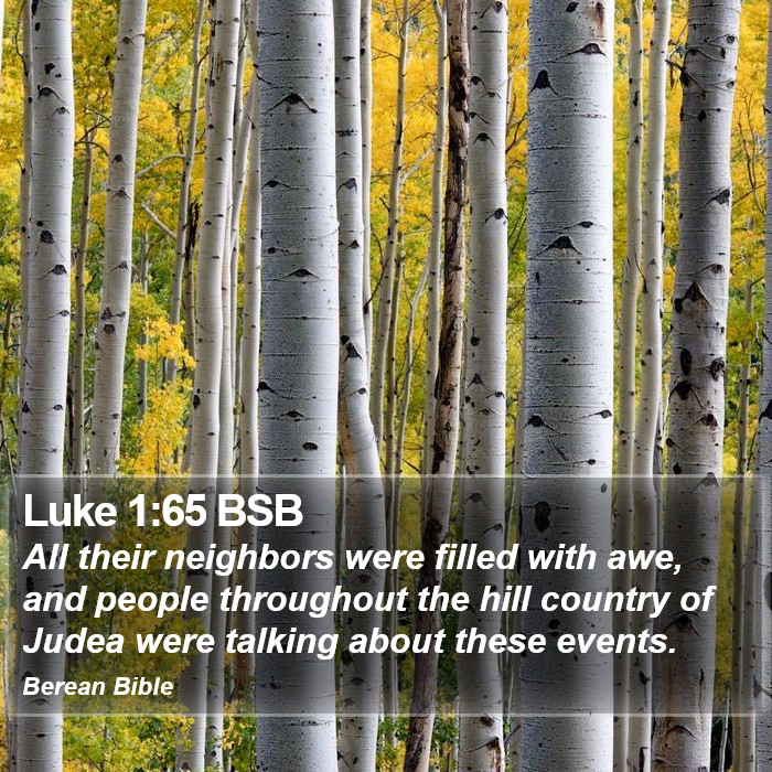 Luke 1:65 BSB Bible Study