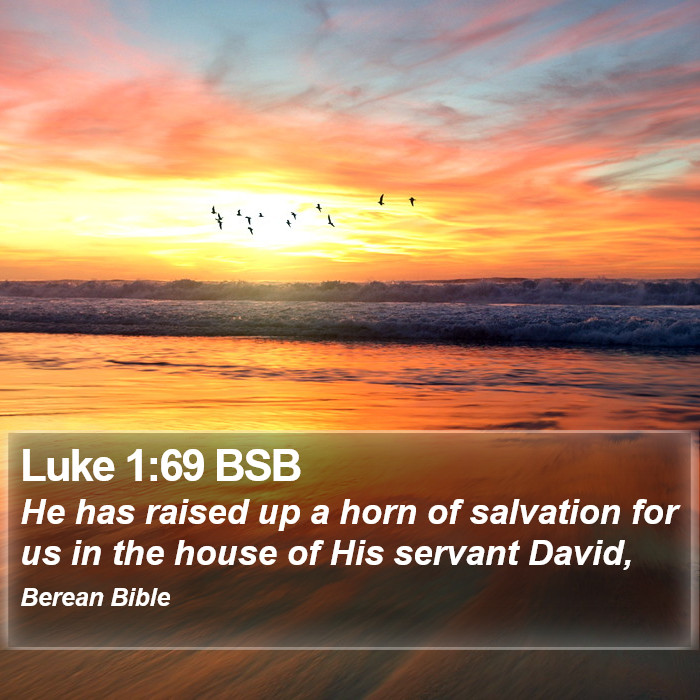 Luke 1:69 BSB Bible Study