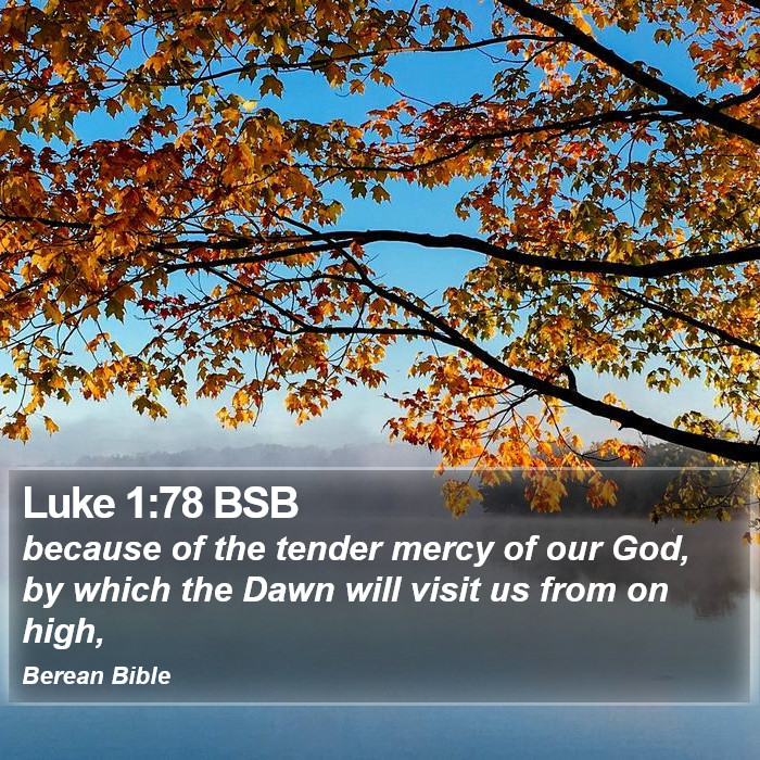 Luke 1:78 BSB Bible Study