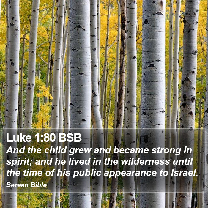 Luke 1:80 BSB Bible Study