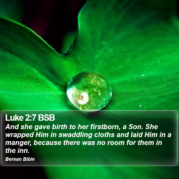 Luke 2:7 BSB Bible Study