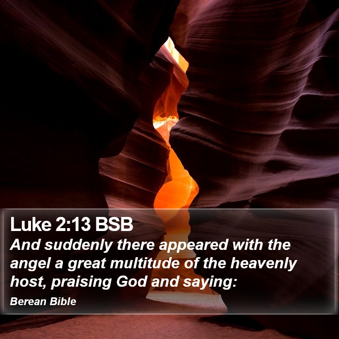 Luke 2:13 BSB Bible Study