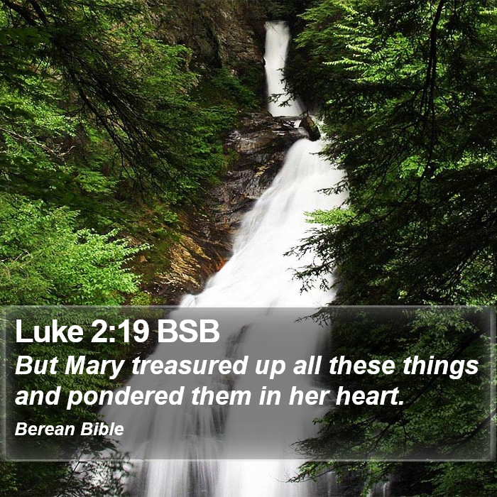 Luke 2:19 BSB Bible Study