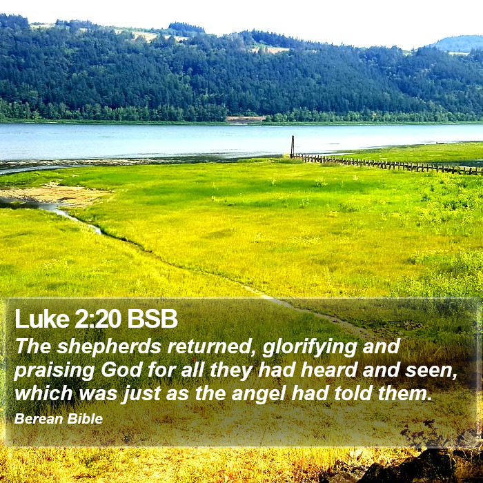 Luke 2:20 BSB Bible Study