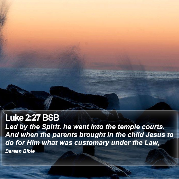 Luke 2:27 BSB Bible Study