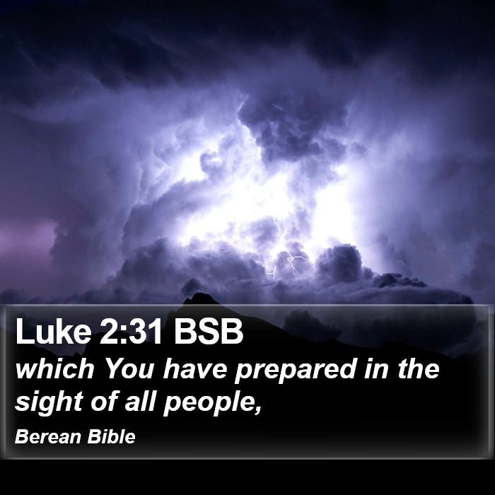 Luke 2:31 BSB Bible Study