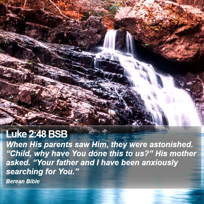 Luke 2:48 BSB Bible Study